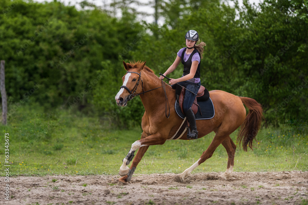 Young pretty girl riding a horse with backlit leaves behind in spring time Young pretty girl riding a horse with backlit leaves behind in spring time