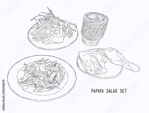 papaya salad or som-tum with grilled chicken and sticky rice .hand drawn water color sketch vector.