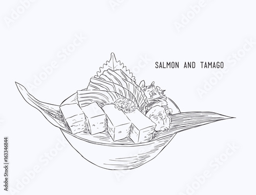 fresh salmon and egg roll sashimi , hand draw water color sketch , food vector.