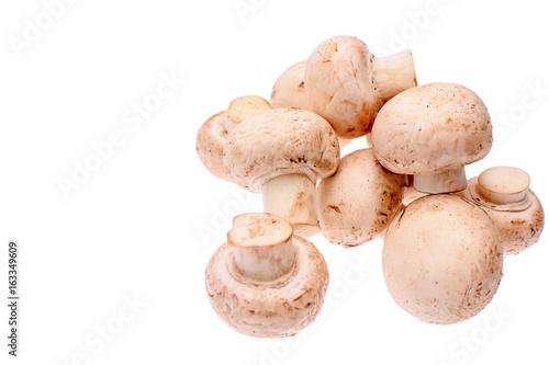 White mushrooms champignons isolated on a white background