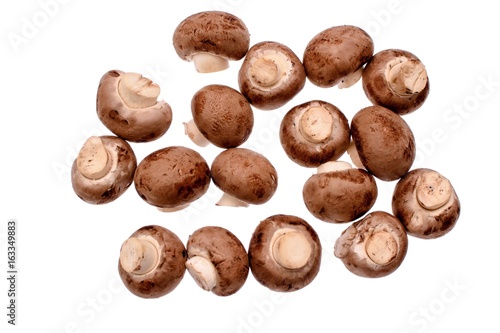 Wallpaper Mural Gray mushrooms champignons isolated on white background Torontodigital.ca