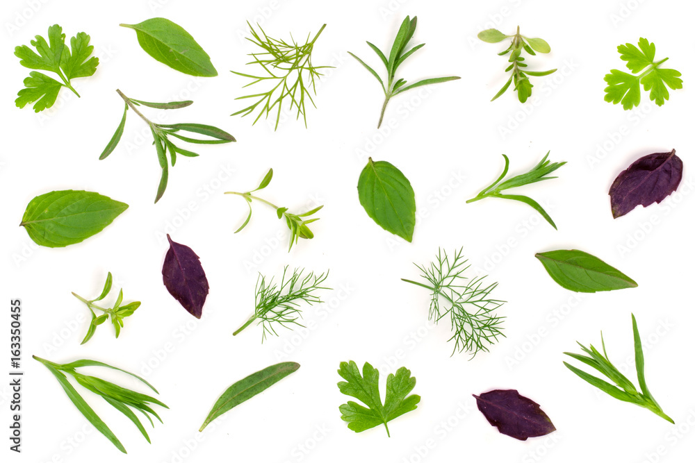 Fresh spices and herbs isolated on white background. Dill parsley basil thyme tarragon. Top view Fresh spices and herbs isolated on white background. Dill parsley basil thyme tarragon. Top view