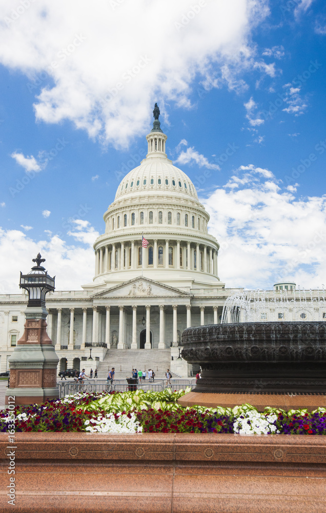 Obraz premium US Capitol