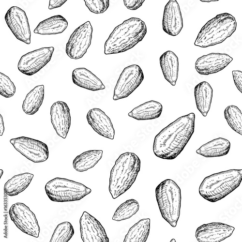 Almond nut vector seamless pattern. Hand drawn background. Food ingredient sketch.