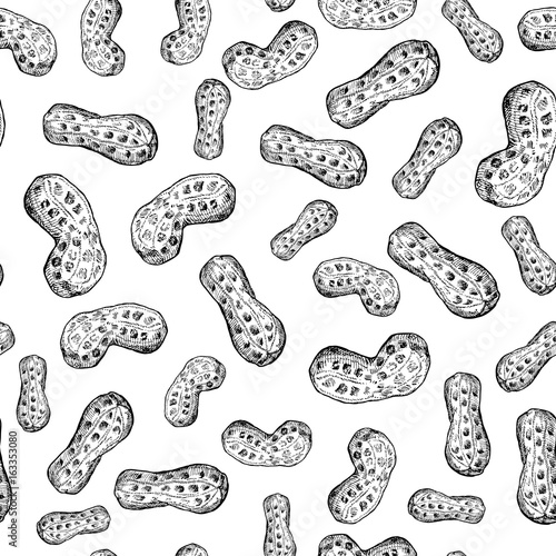 Peanut nut vector seamless pattern. Hand drawn background. Food ingredient sketch.