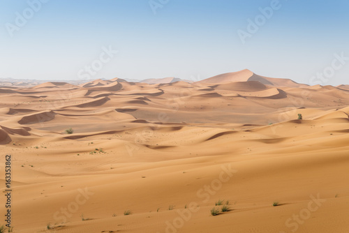 Patterns in the desert sand of the United Arab Emirates