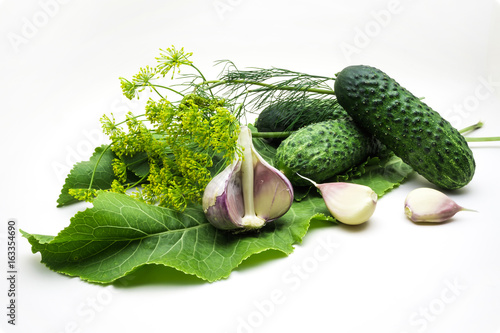 Cucumbers, garlic, dill and horseradish isolated on white background