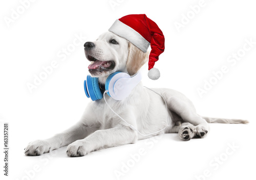 Cute Labrador dog with headphones isolated on white