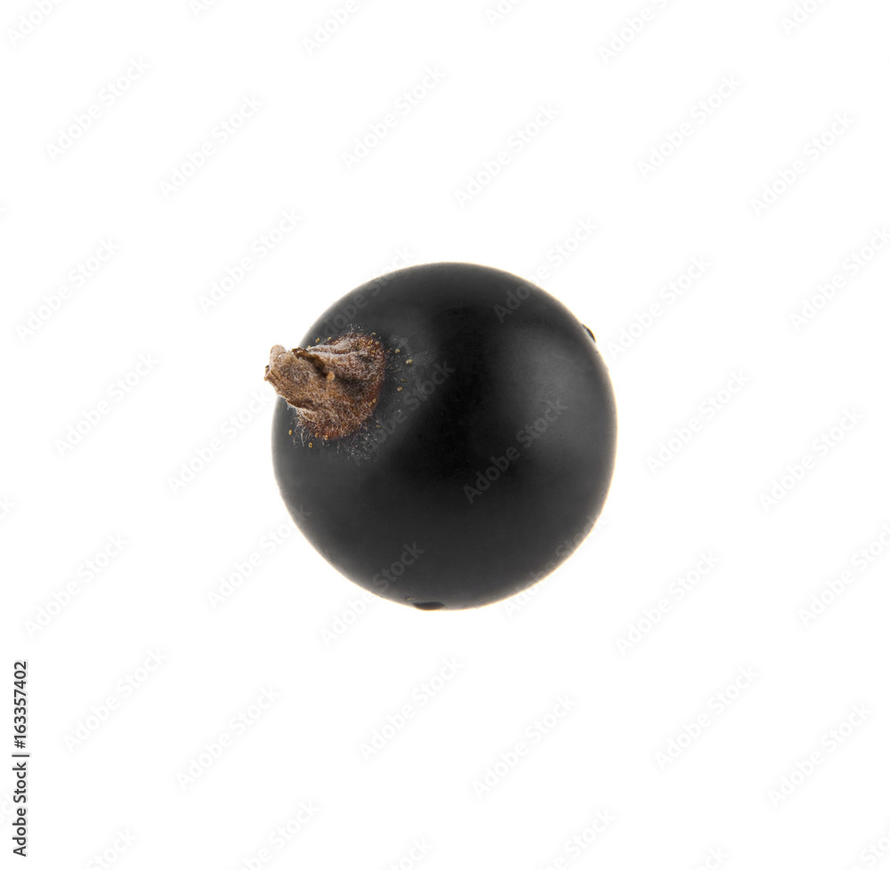 Black currant isolated on white background Black currant isolated on white background