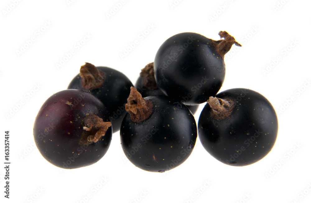 Black currant isolated on white background Black currant isolated on white background