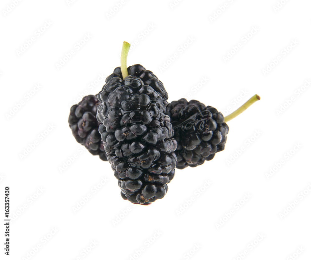 Mulberry isolated on white background close-up Mulberry isolated on white background close-up