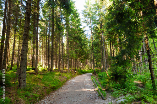 Beautiful Tatry Rusinowa Polana landscape