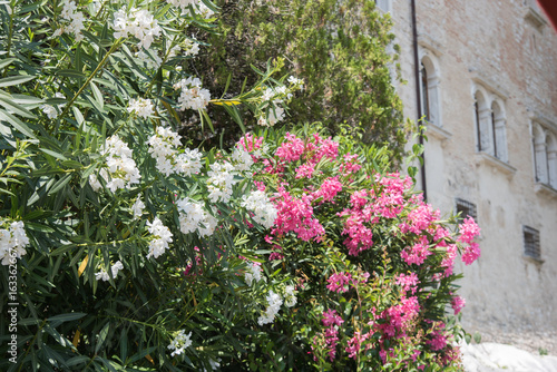 Castle ladder and architectures of Castelbrando. Treviso