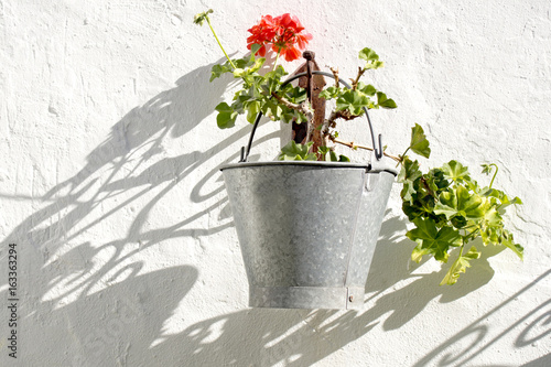 Fototapeta Naklejka Na Ścianę i Meble -  Geranium hanging outside