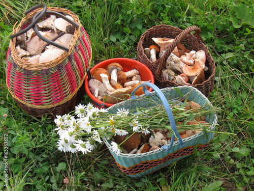 Baskets with mushrooms