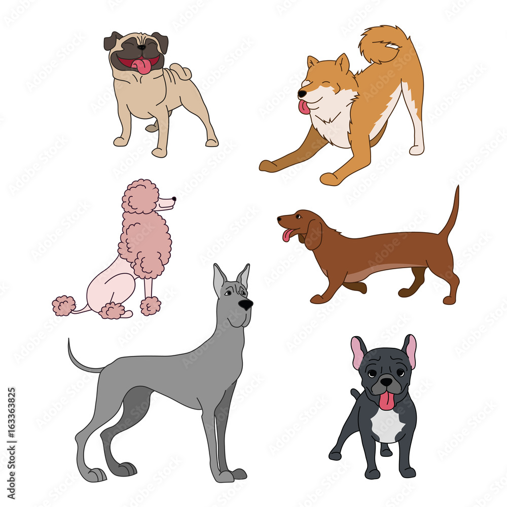 Dogs breeds cartoon set great dane, french bulldog, poodle, husky, dachshund pug on white vector collection - obrazy, fototapety, plakaty 