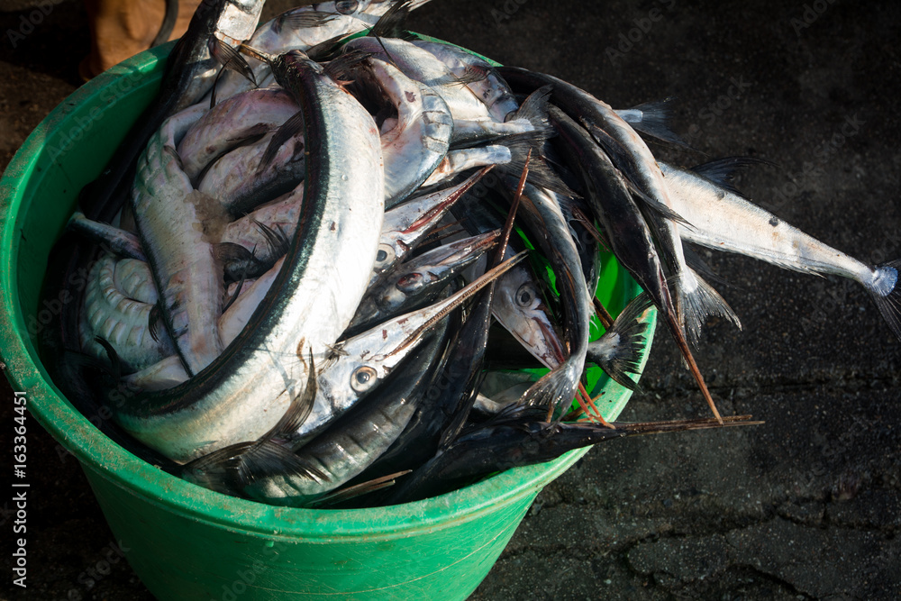 King mackerel in basket King mackerel in basket