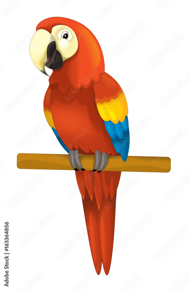 Fototapeta premium cartoon isolated animal - parrot sitting looking and resting - illustration for children