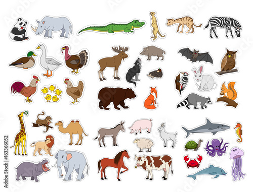 Fototapeta Naklejka Na Ścianę i Meble -  Big animals set, illustration with animals collection isolated on white background