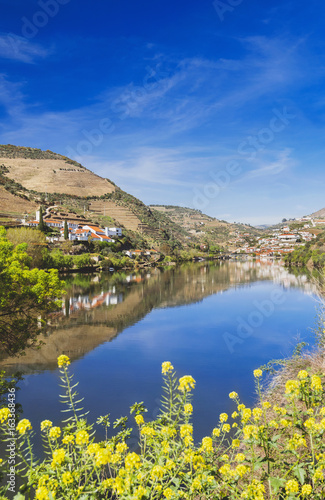Douro river with vineyards in Douro valley with Pinhao village at the background, Portugal