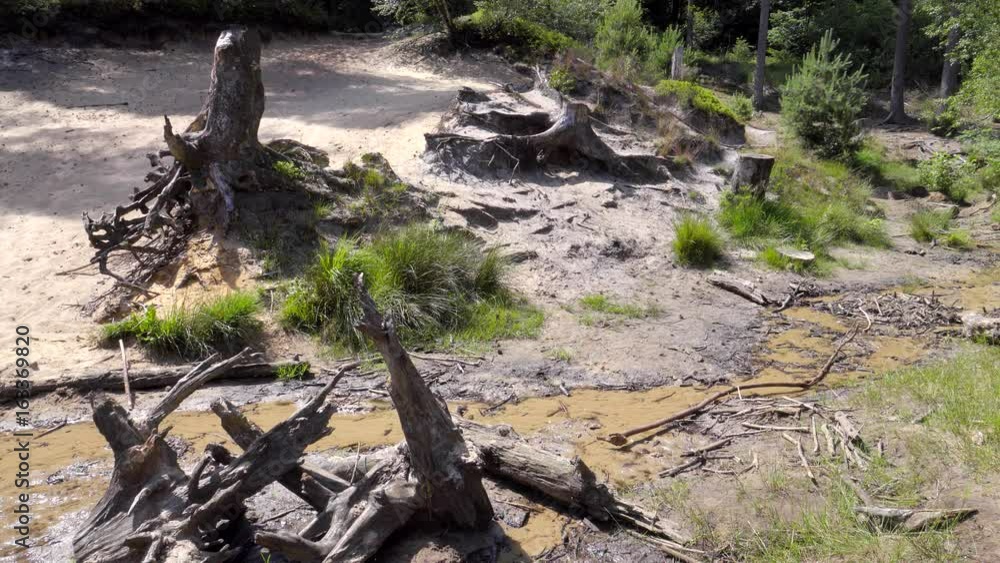 trockene Heide Landschaft Senne mit Wasser Knappheit trockene Heide Landschaft Senne mit Wasser Knappheit
