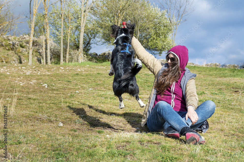 young woman  with border collie  dog playing on a green meadow