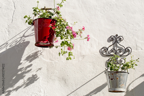 Fototapeta Naklejka Na Ścianę i Meble -  Metal containers with Geraniums