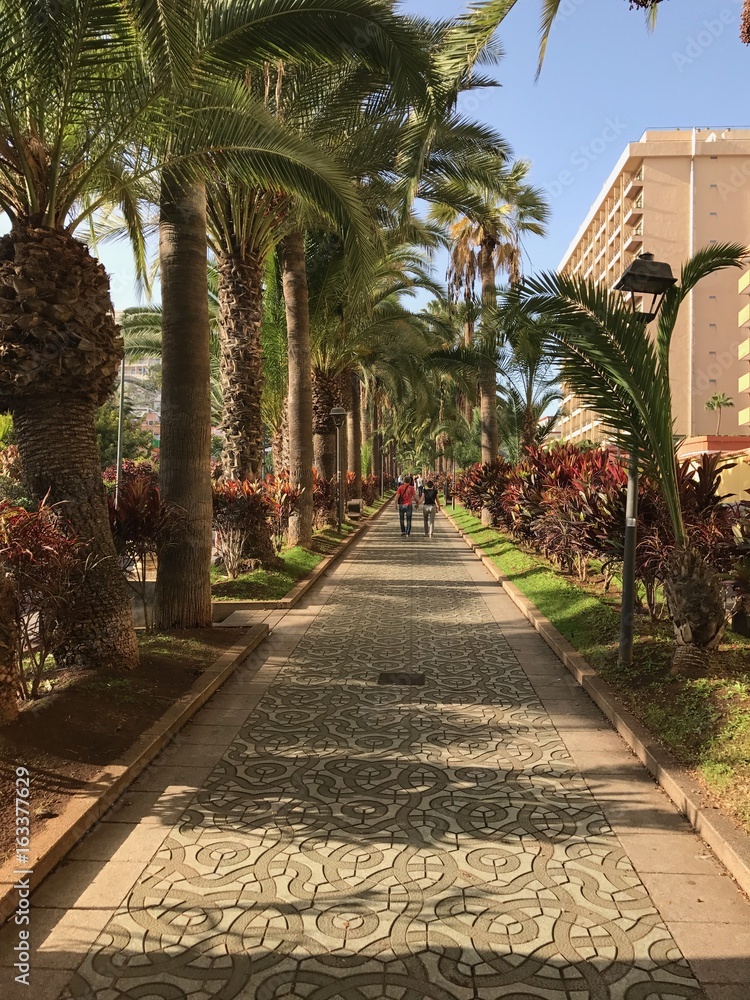 Obraz premium Street from Tenerife