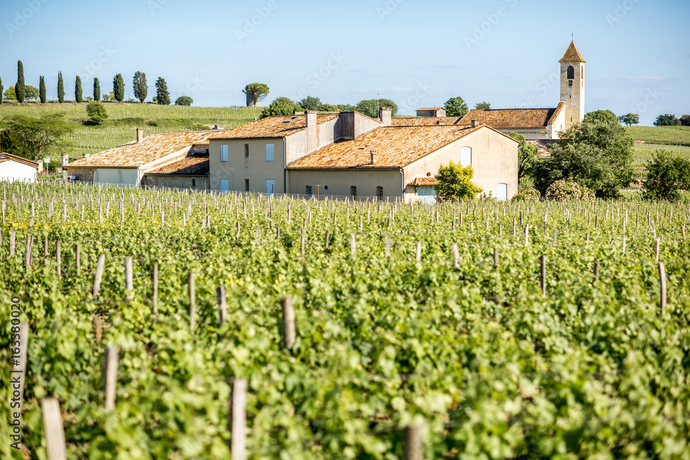 Beautiful landscape view on the vineyards in Saint Emilion village near Bordeaux in France