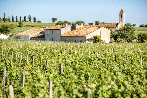 Foto Beautiful landscape view on the vineyards in Saint Emilion village near Bordeaux
