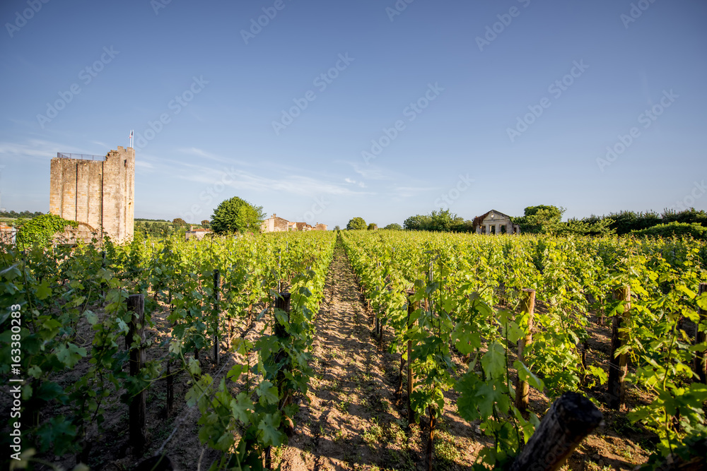 Beautiful landscape view on the vineyards in Saint Emilion village near Bordeaux in France