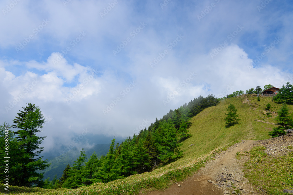 奥秩父 雲取山 奥秩父 雲取山