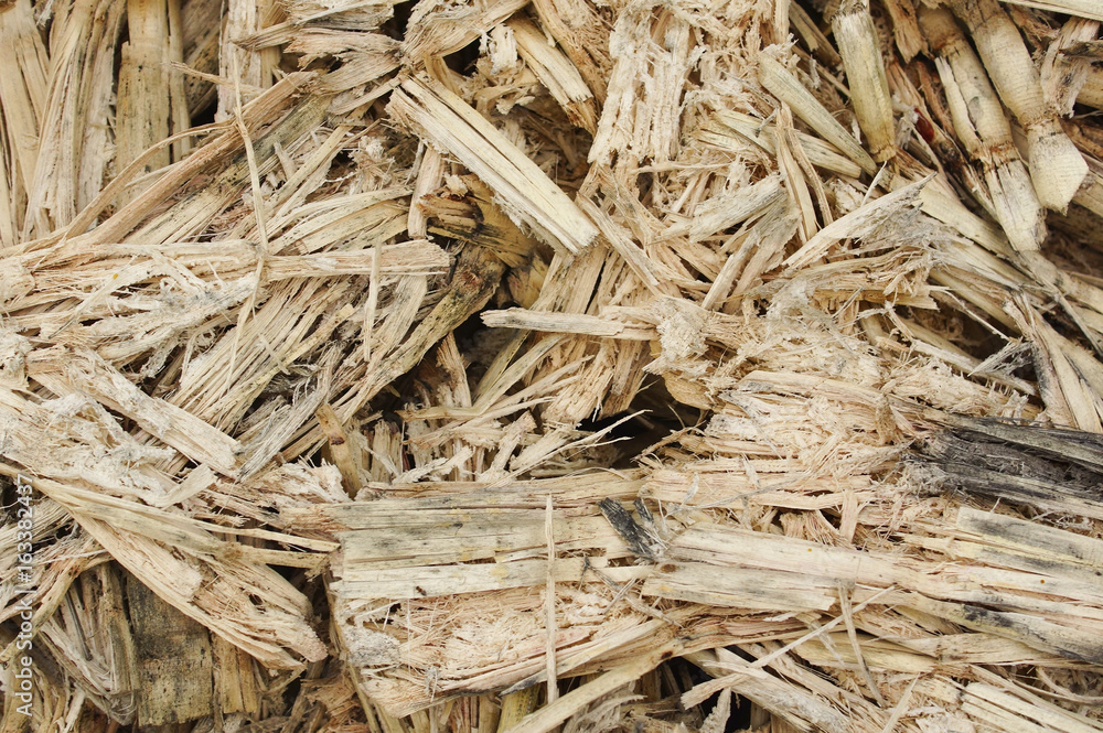 Sugarcane residue Sugarcane residue