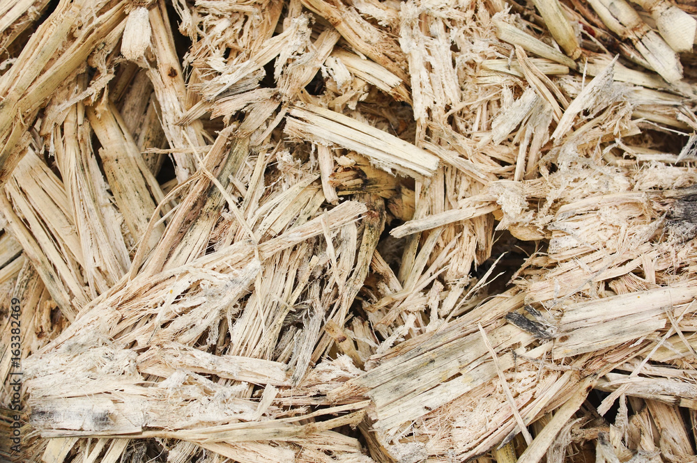 Sugarcane residue