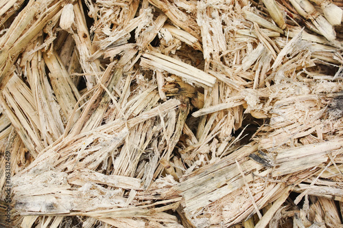 Foto Sugarcane residue