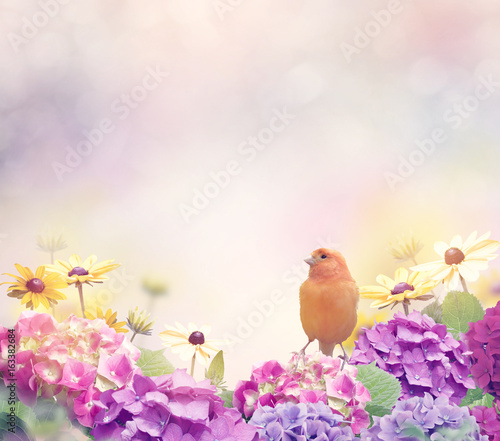 Flower Background with a Yellow Bird