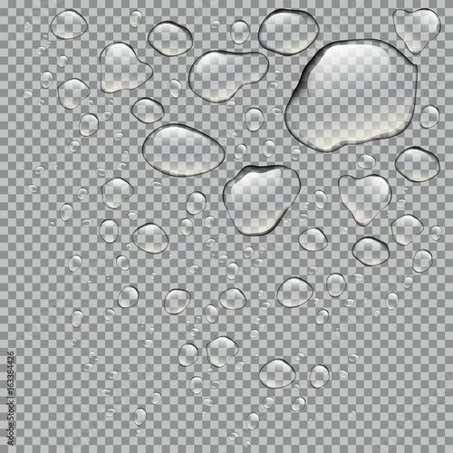 Realistic water drops isolated