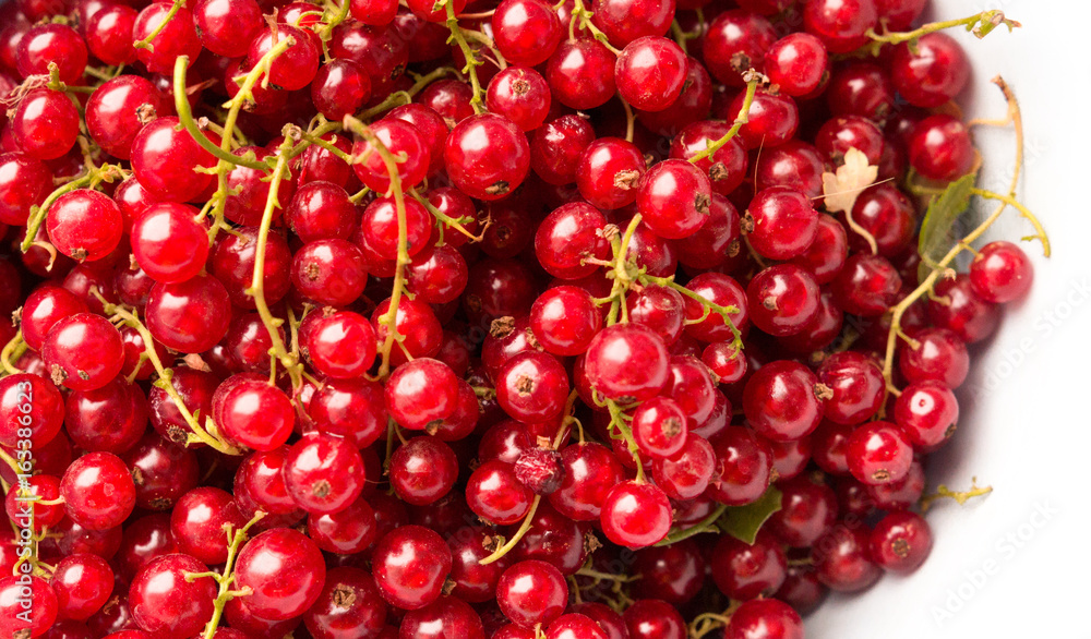 Ripe red currants Ripe red currants