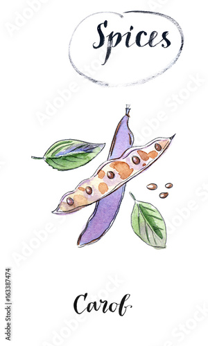 Watercolor group of carob pods whole and half with seeds