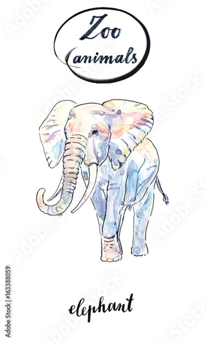 Watercolor african elephant