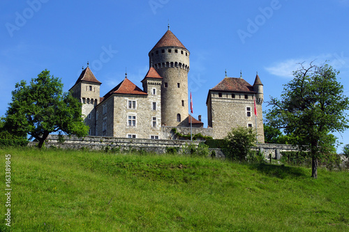 Château de Montrottier © photlook