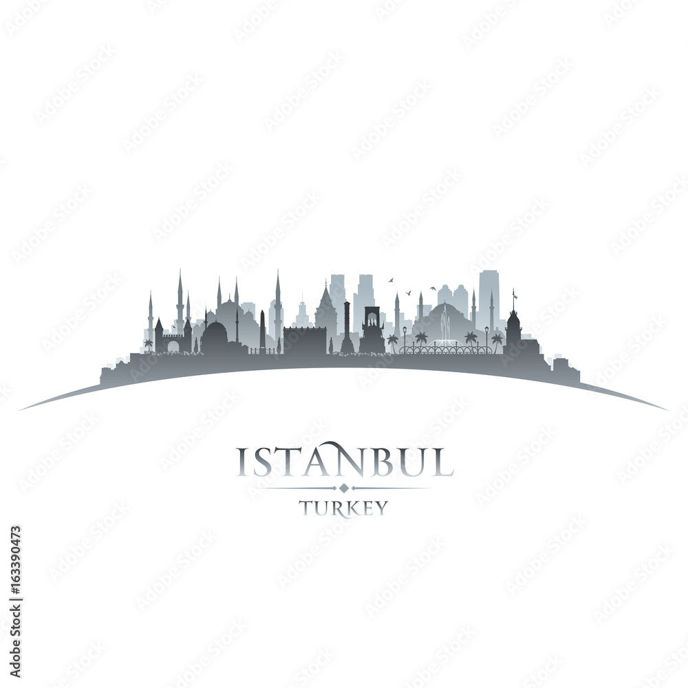 Istanbul Turkey city skyline silhouette white background