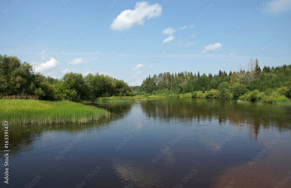 On the river in the summer