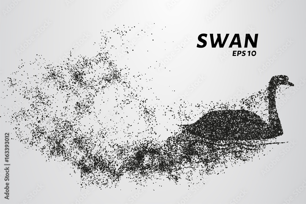 Naklejka premium Swan of particles. Silhouette of a swan is of little circles.