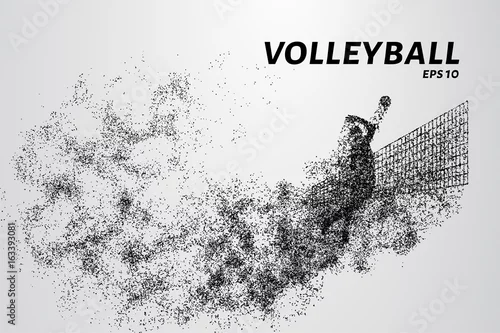 Obraz Siatkówka, cząsteczki rozbieżny skład, wektorowa ilustracja. Sylwetka siatkówki z cząstek.