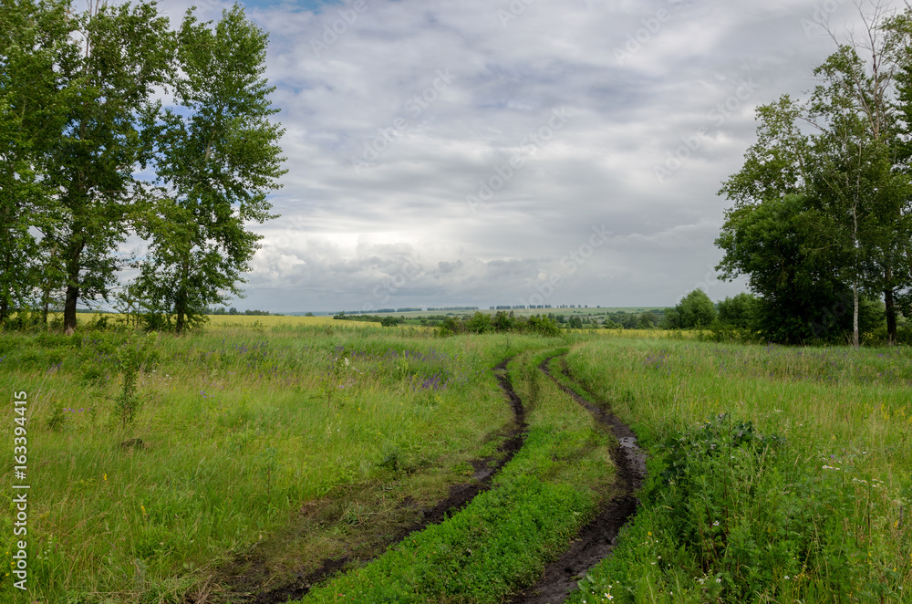 Cloudy countryside landscape with ground road after rain Cloudy countryside landscape with ground road after rain