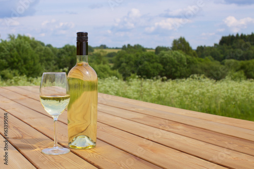 A bottle of white wine with a glass arranged in nature. Picnic concept