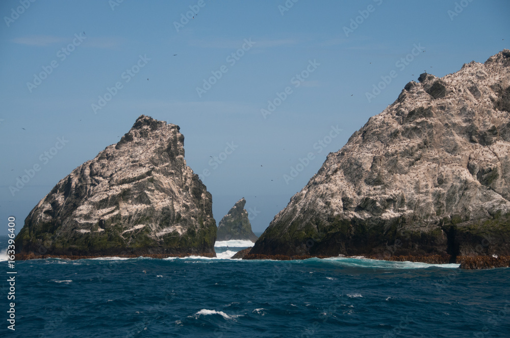 The Shag Rocks The Shag Rocks