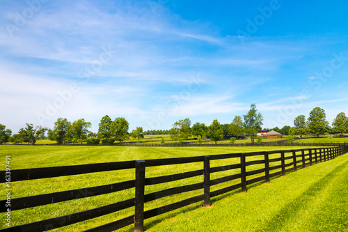 Country landscape.