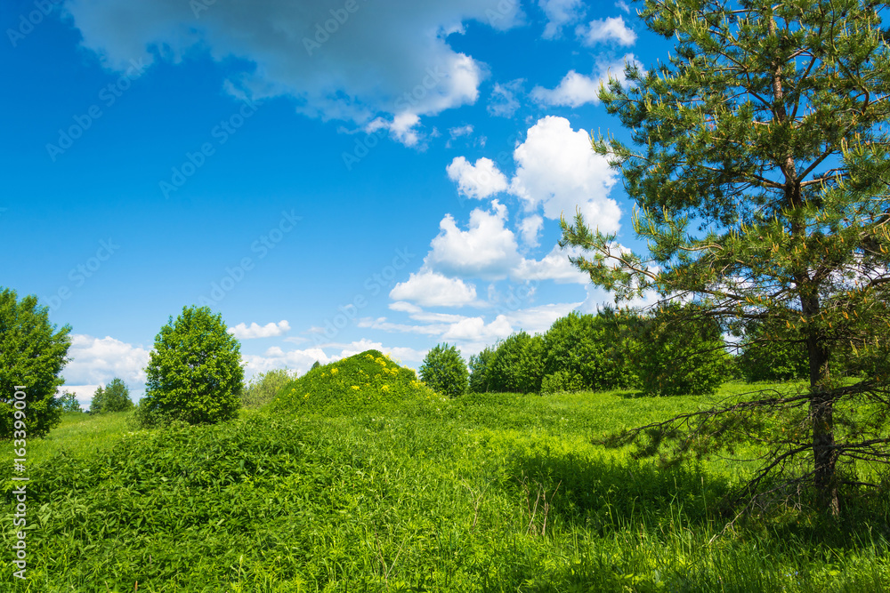 Big green hill with yellow flowers. Big green hill with yellow flowers.